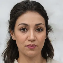 Trần Văn Kiên avatar